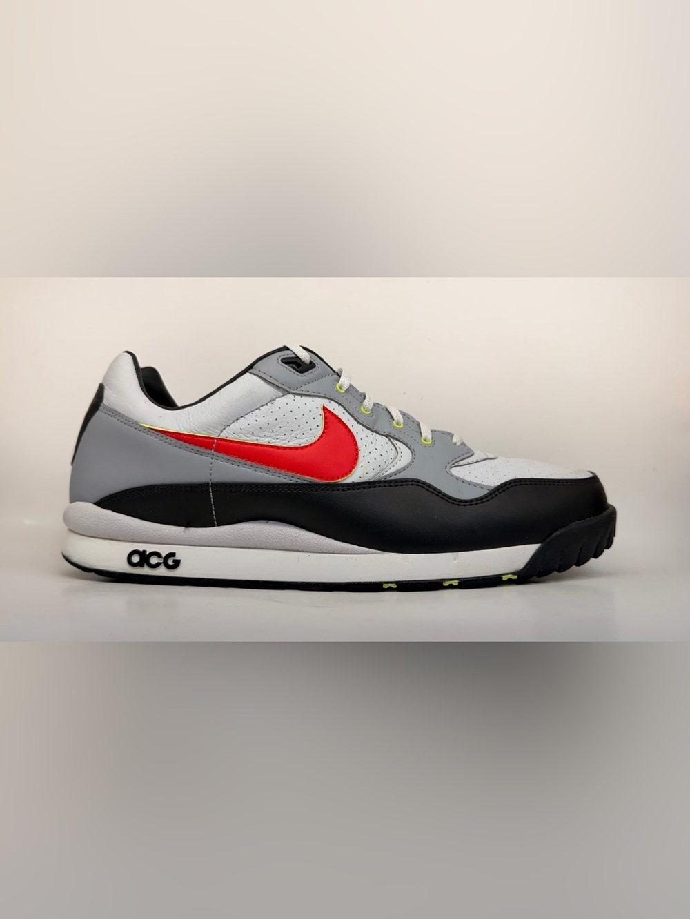 Nike Air ACG Wildwood  (196)